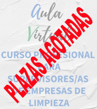 AULA VIRTUAL - CURSO PROFESIONAL PARA SUPERVISORES/AS DE EMPRESAS DE LIMPIEZA* 