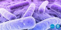 X Congreso Nacional de Legionella y Calidad Ambiental