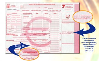 boletín